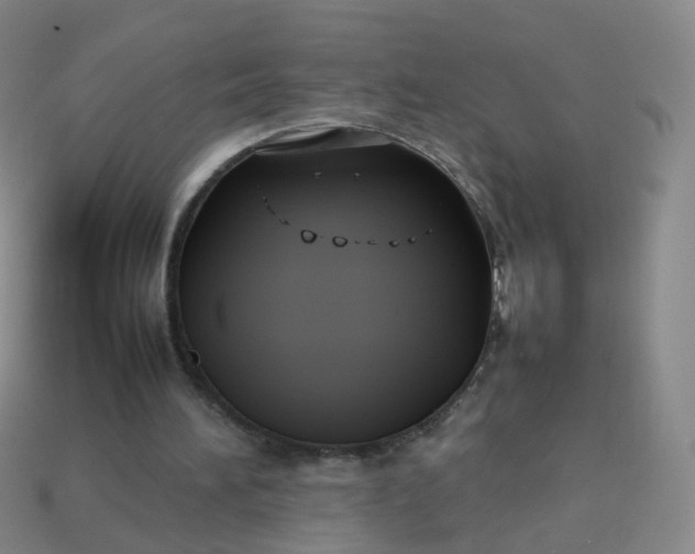 X0000113870196200910081733