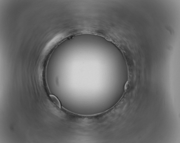 X0000113870197200910081733