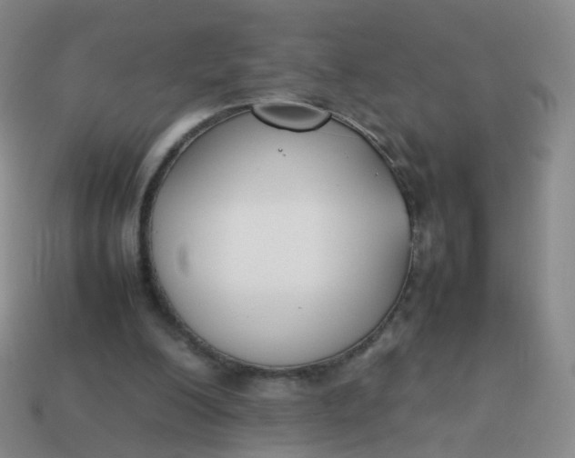 X0000113870200200910081733