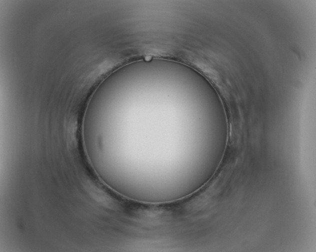 X0000113870201200910081733