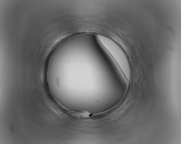 X0000113870203200910081733