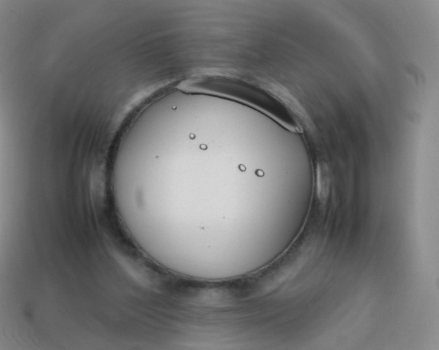 X0000113870204200910081733