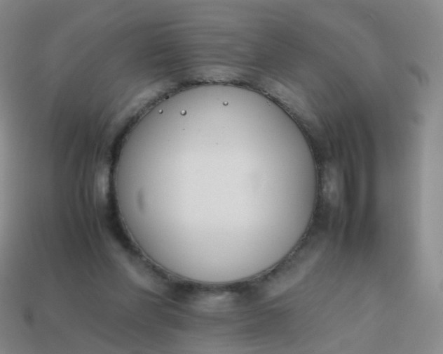 X0000113870206200910081733