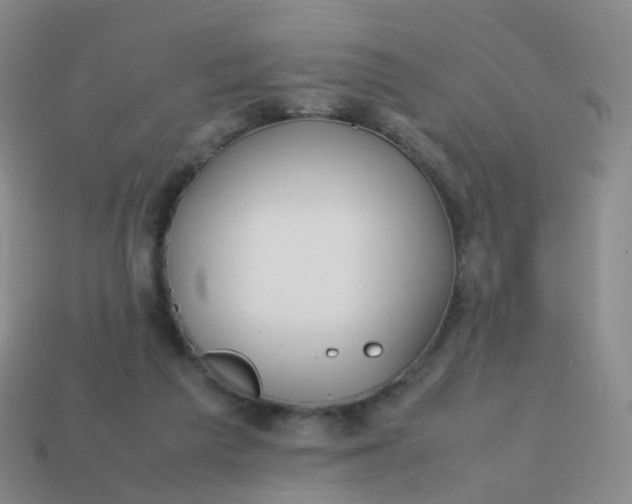 X0000113870209200910081733