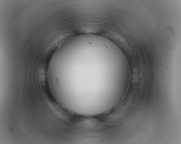 X0000113870210200910081733