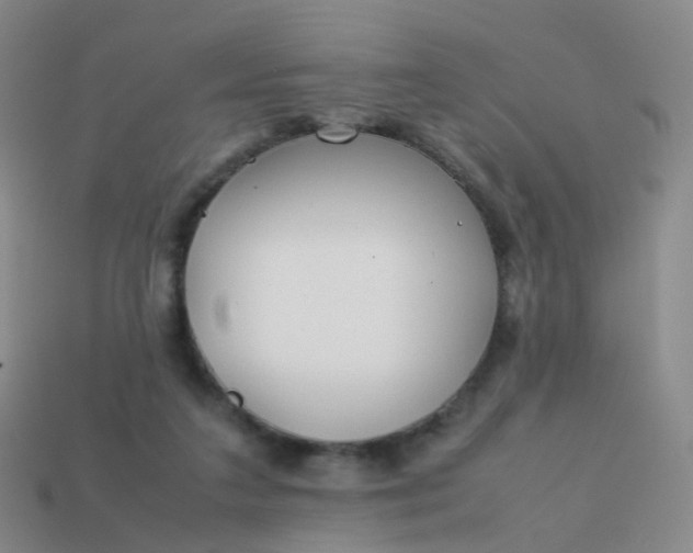 X0000113870211200910081733