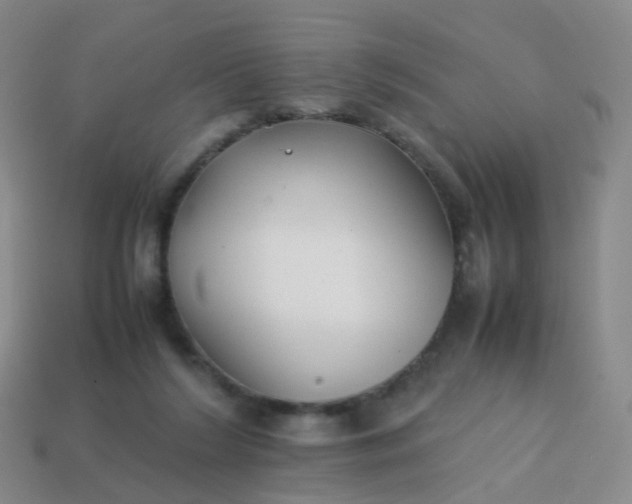 X0000113870212200910081733