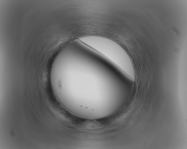 X0000113870215200910081733