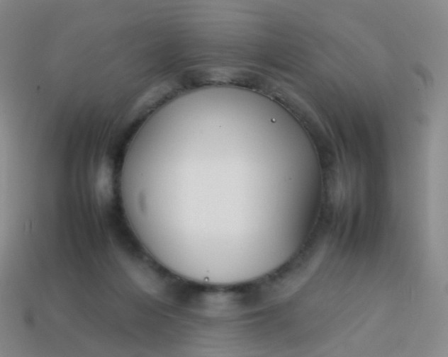 X0000113870216200910081733