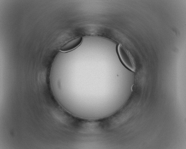 X0000113870217200910081733