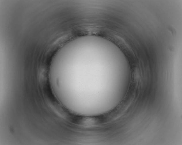 X0000113870218200910081733