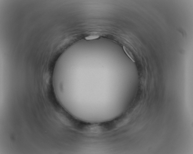 X0000113870219200910081733