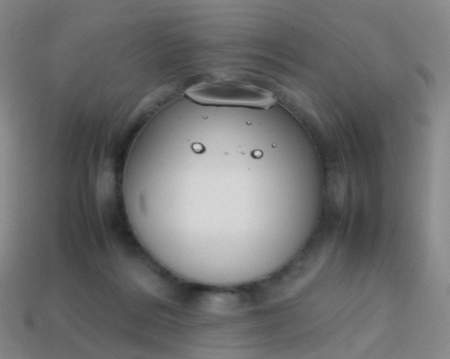 X0000113870220200910081733