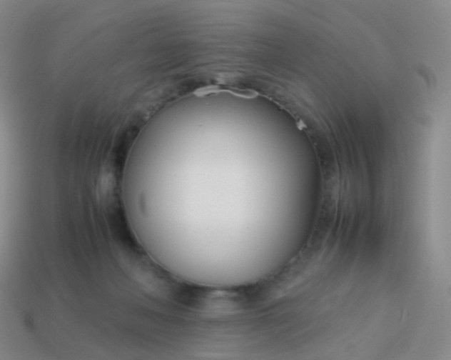 X0000113870222200910081733