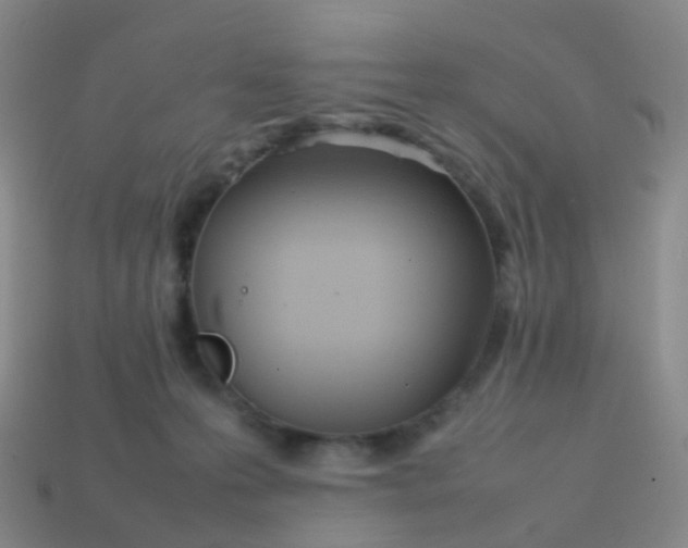 X0000113870223200910081733