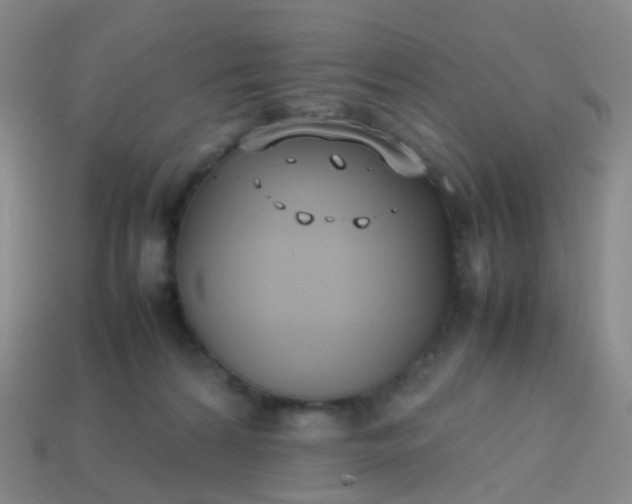 X0000113870224200910081733