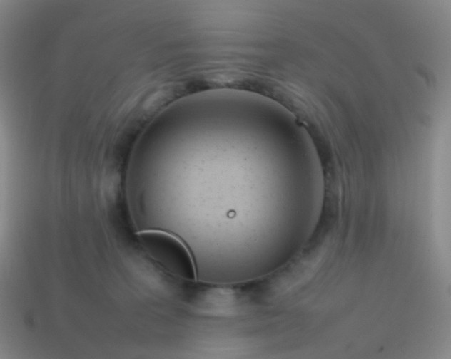 X0000113870227200910081733