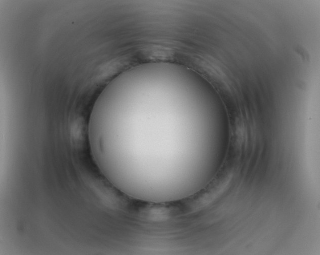 X0000113870228200910081733