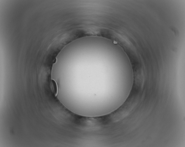 X0000113870229200910081733