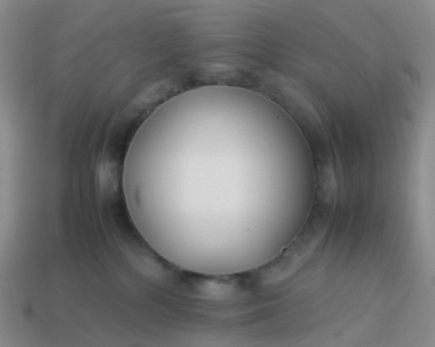 X0000113870232200910081733