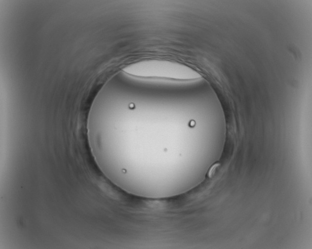 X0000113870233200910081733