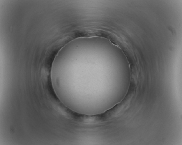 X0000113870235200910081733