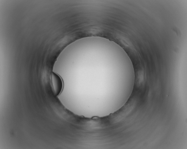 X0000113870236200910081733