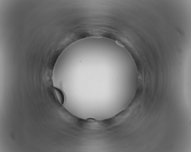 X0000113870237200910081733