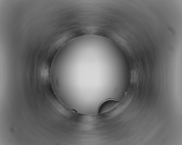 X0000113870238200910081733