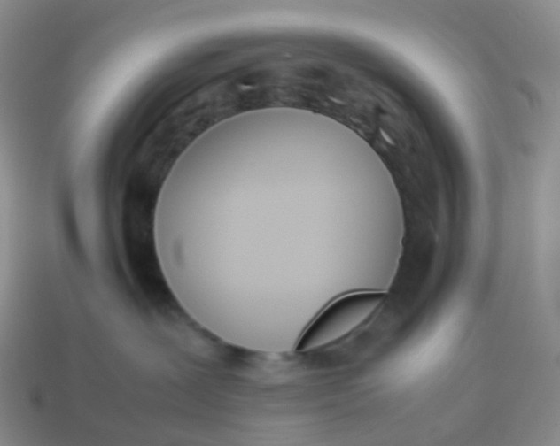 X0000113870239200910081733