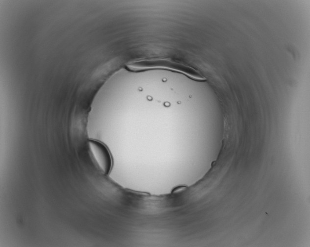 X0000113870240200910081733