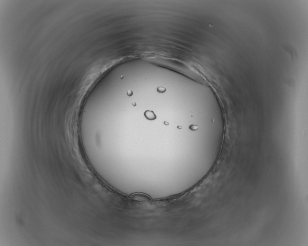 X0000113870241200910081732