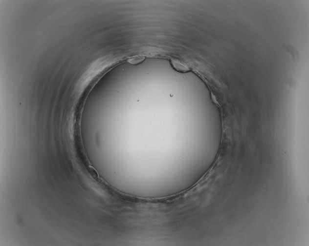 X0000113870242200910081732