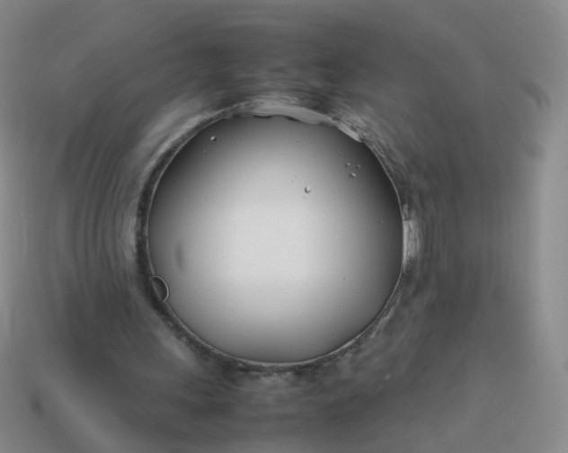 X0000113870243200910081732