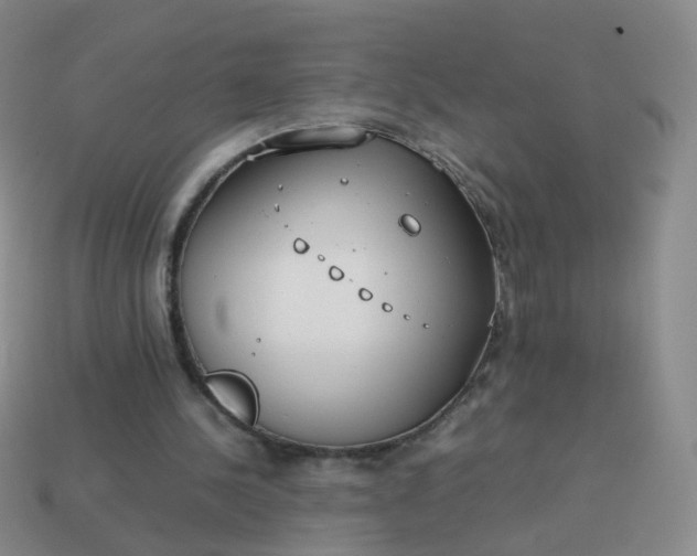 X0000113870244200910081732