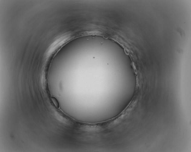 X0000113870245200910081732