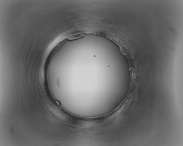 X0000113870246200910081732