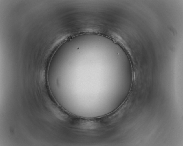 X0000113870249200910081732