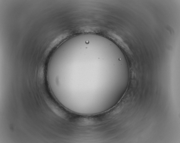 X0000113870250200910081732