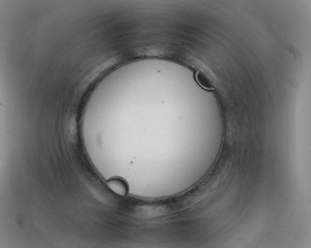 X0000113870251200910081732