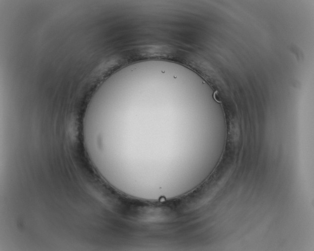 X0000113870255200910081732