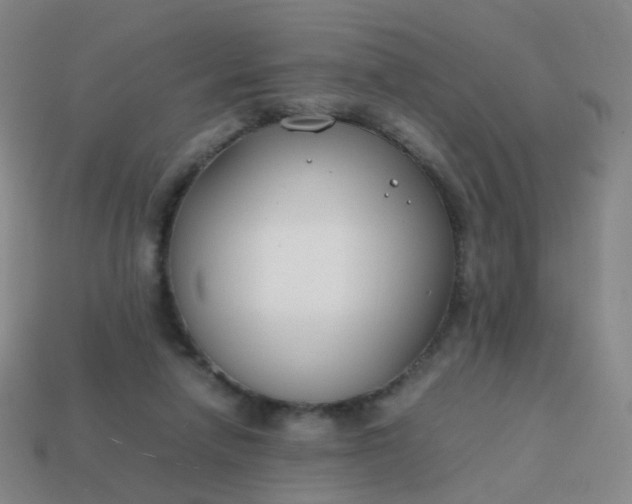 X0000113870258200910081732