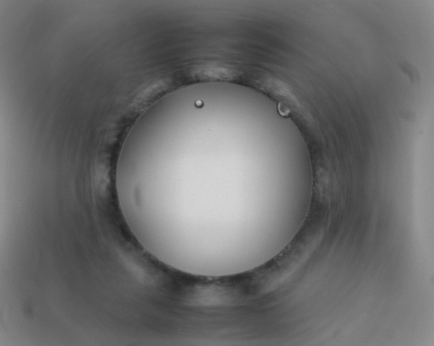 X0000113870259200910081732