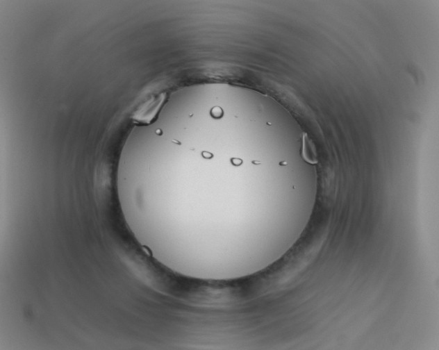 X0000113870260200910081732