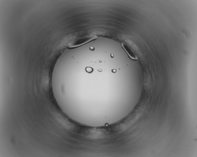 X0000113870261200910081732