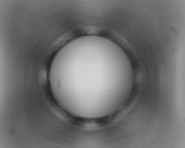 X0000113870262200910081732