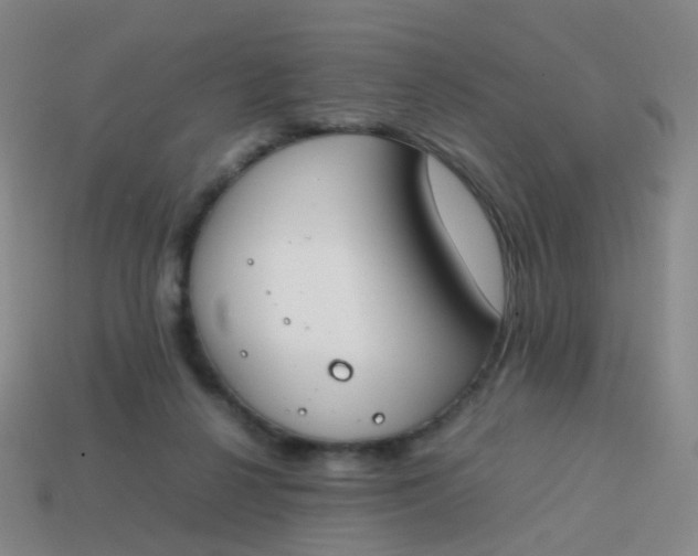 X0000113870264200910081732