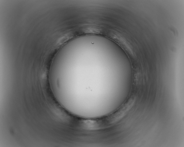 X0000113870265200910081732