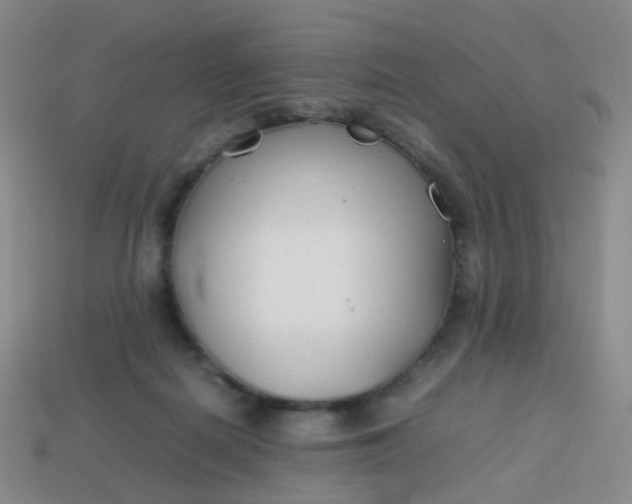 X0000113870266200910081733