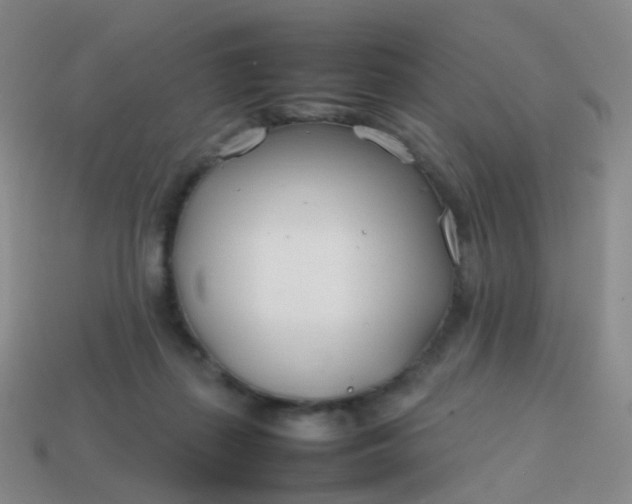 X0000113870267200910081733